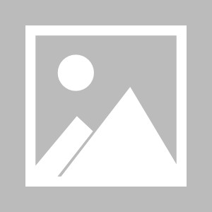 ju11.co-关于尤文图斯引进非洲天才中场，提升中场组织能力的信息